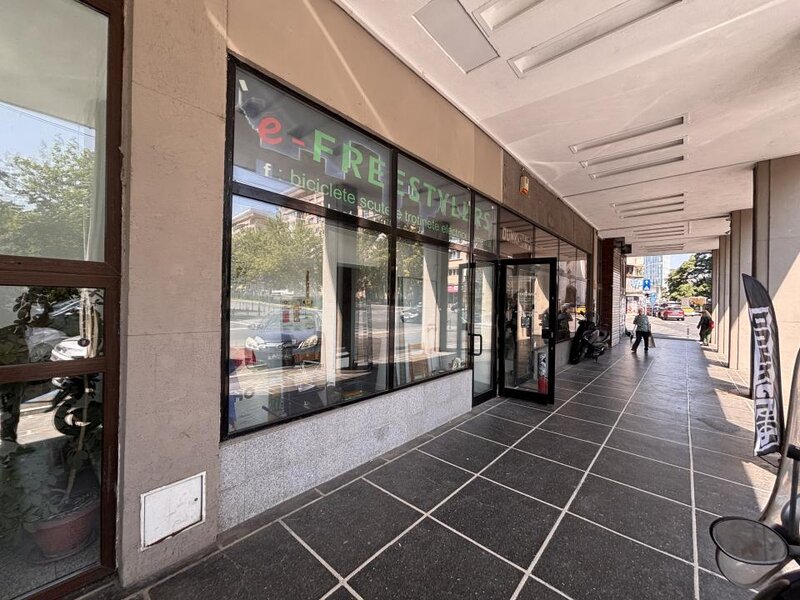 Sala Palatului, Ion Campineanu, spatiu comercial.