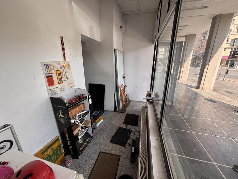Sala Palatului, Ion Campineanu, spatiu comercial.